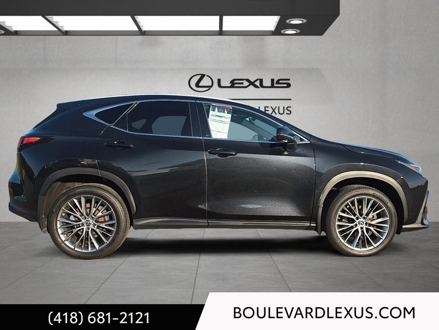 Lexus NX 2022 2022 Noir