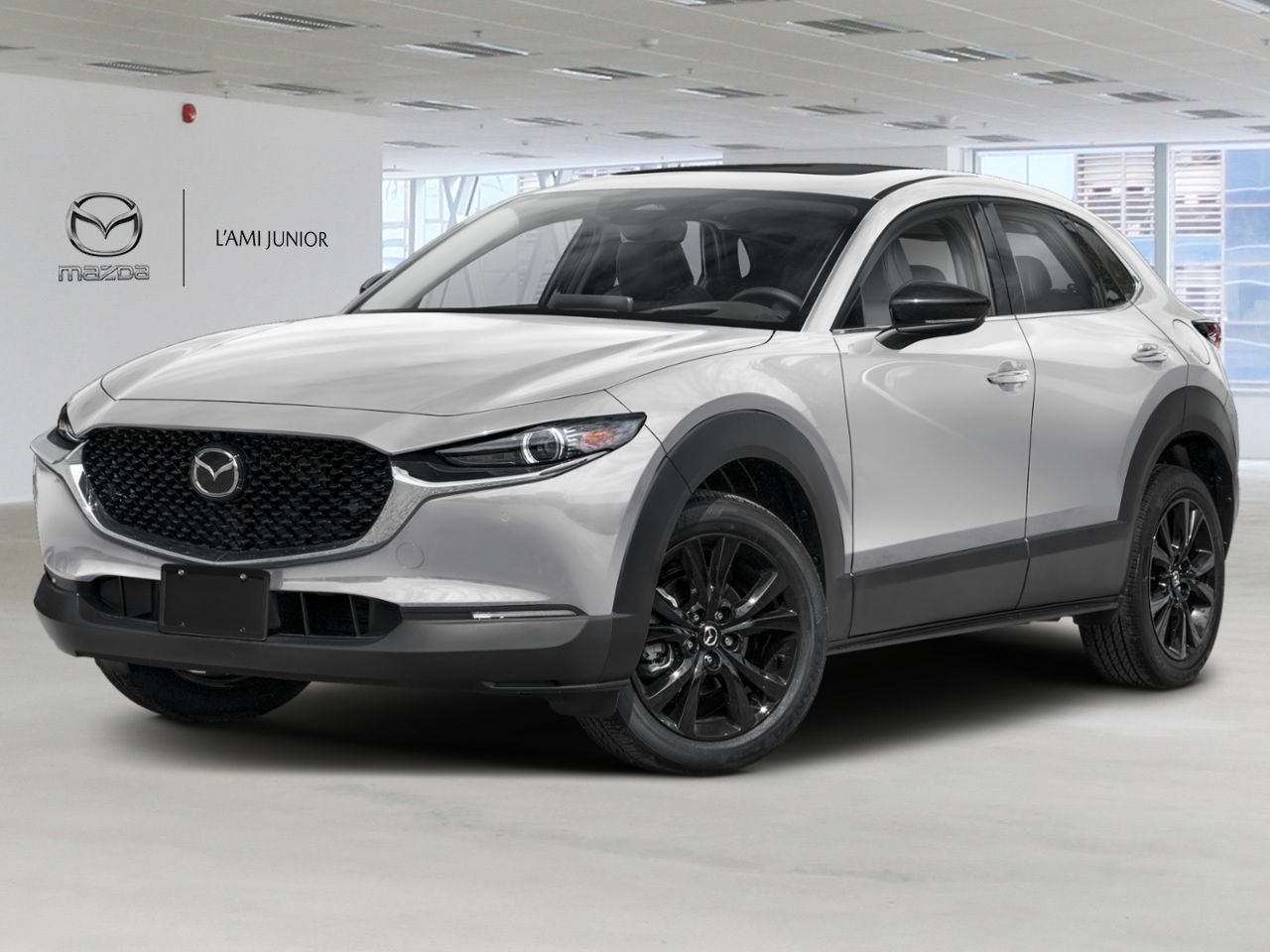 2026 MAZDA CX-30 VIN 3MVDMBAY7TM134915 Ceramic Metallic Chicoutimi - photo #0