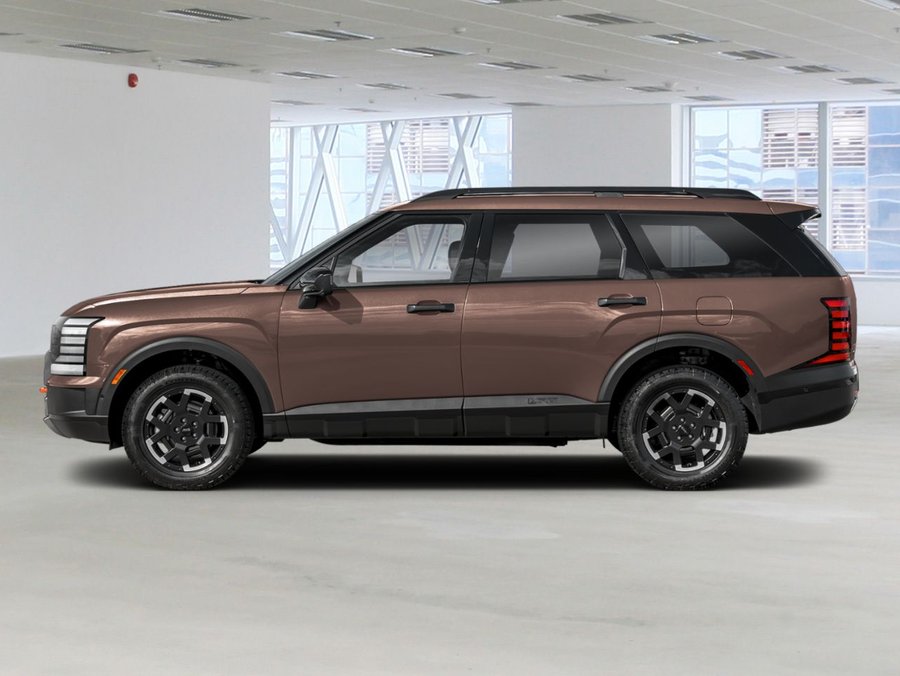 HYUNDAI Palisade 2027 2027 Brun ferreux