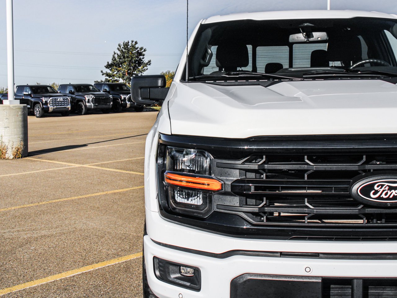 2025 Ford F-150 XLT 4WD SuperCrew 5.5' Box White Sherwood Park - photo #10