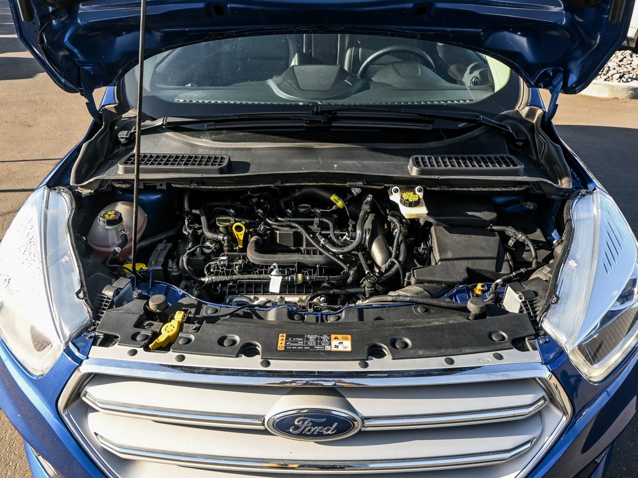 2019 Ford Escape SEL 4WD Blue Sherwood Park - photo #8