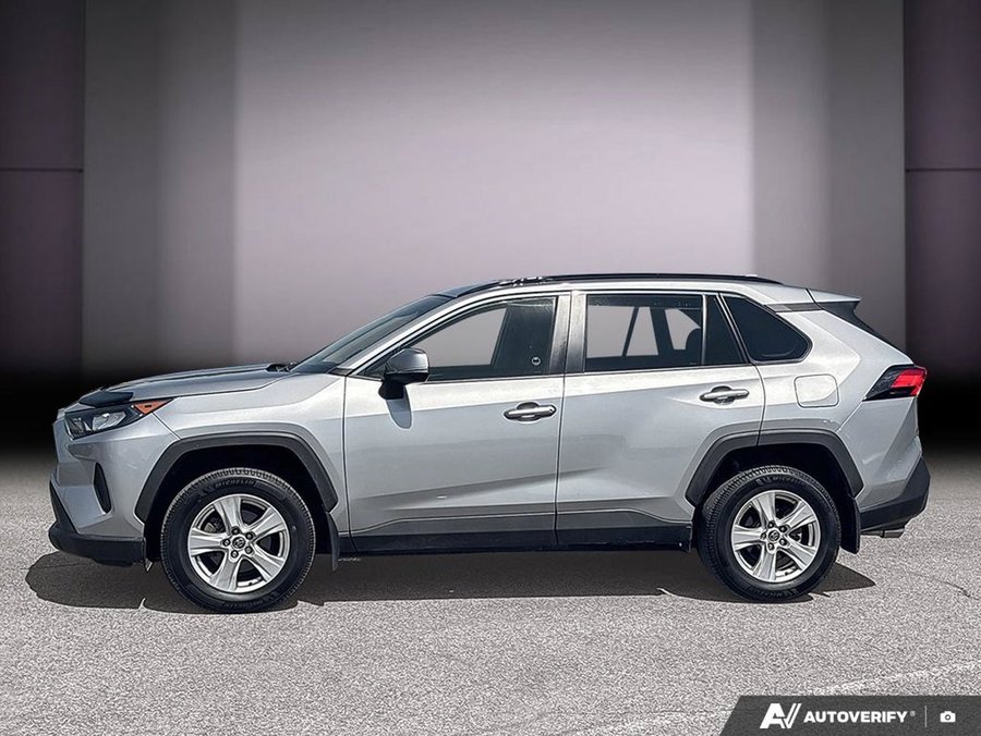 Toyota RAV4 2019 2019 Gris