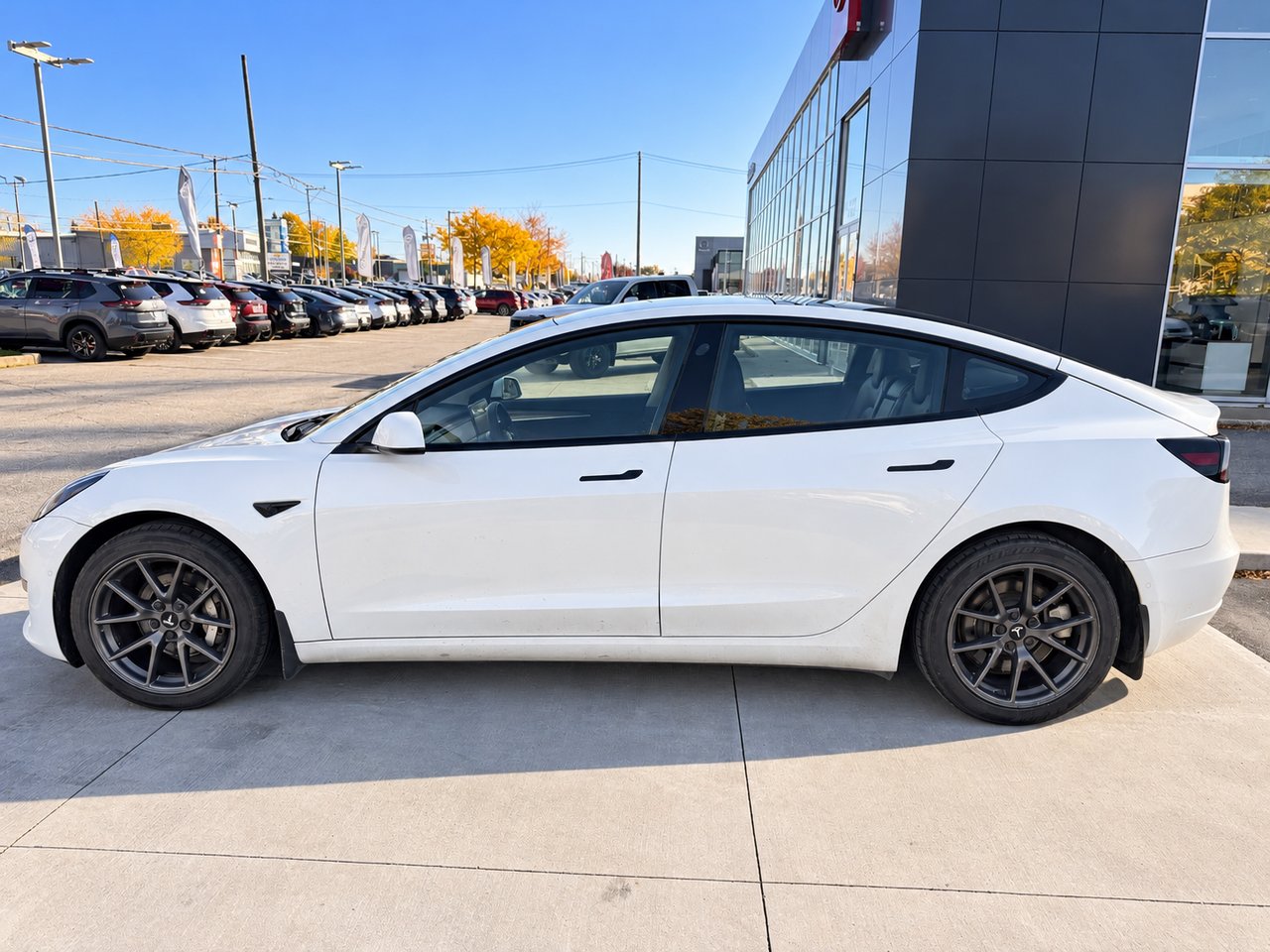 Tesla Model 3 423 km d'autonomie jamais accidenté un seul propriétaire 2021 Blanc Châteauguay - photo #10
