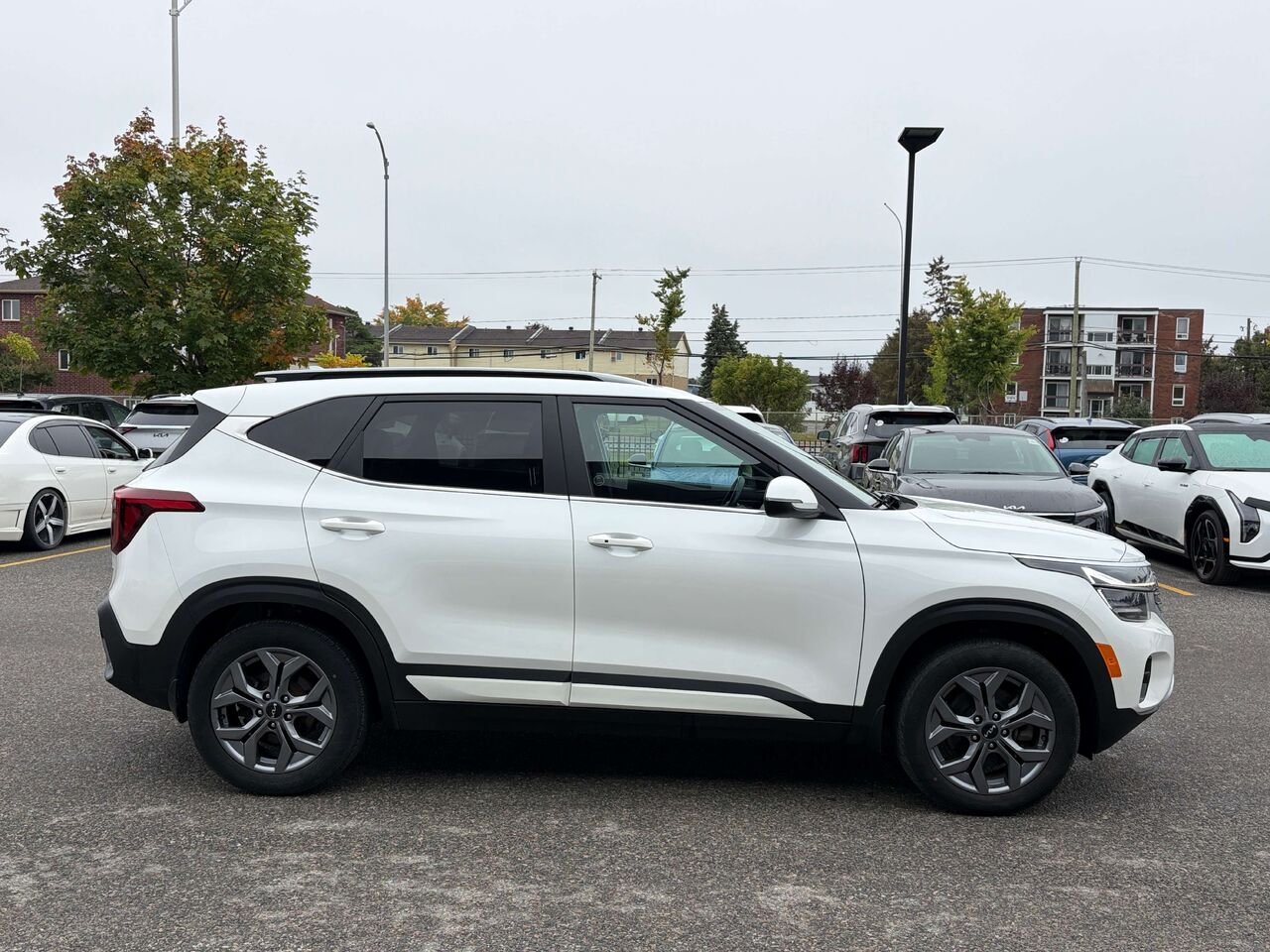 Kia Seltos 2024 Blanc Gatineau - photo #6