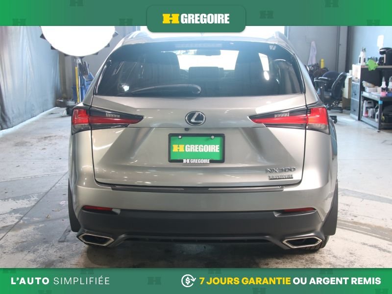 2019 Lexus NX Grey Saint-Eustache - photo #5