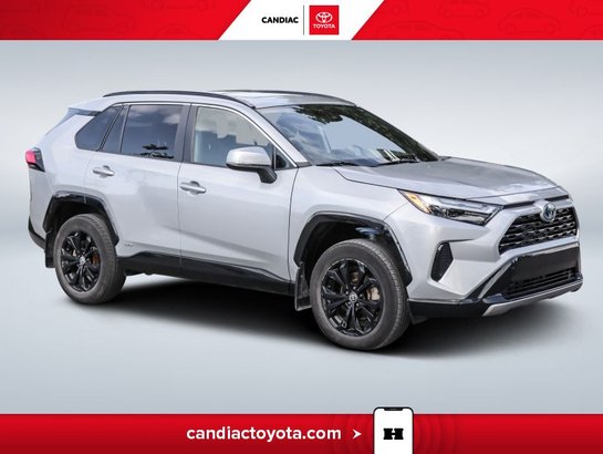 2023 Toyota Rav 4 2023 Silver